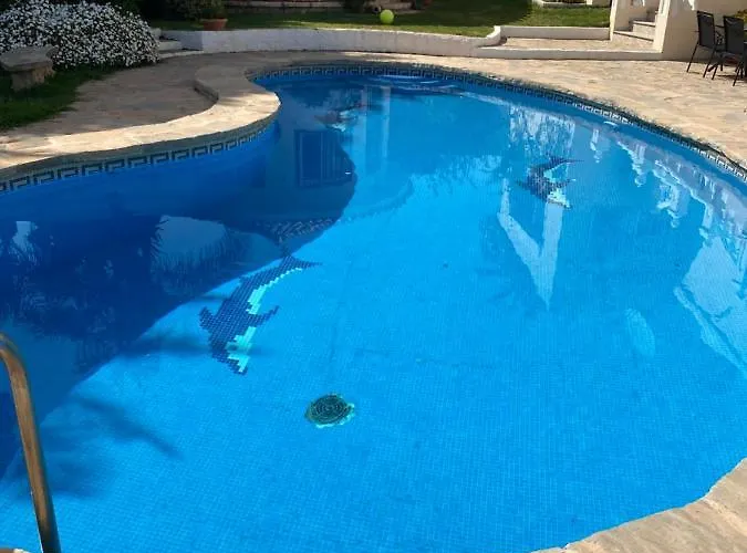 Ardilla La Cala De Mijas