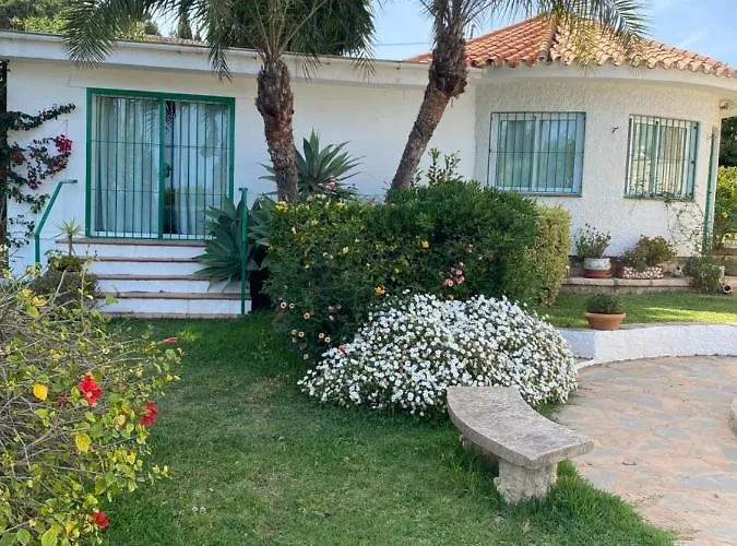 Ardilla La Cala De Mijas